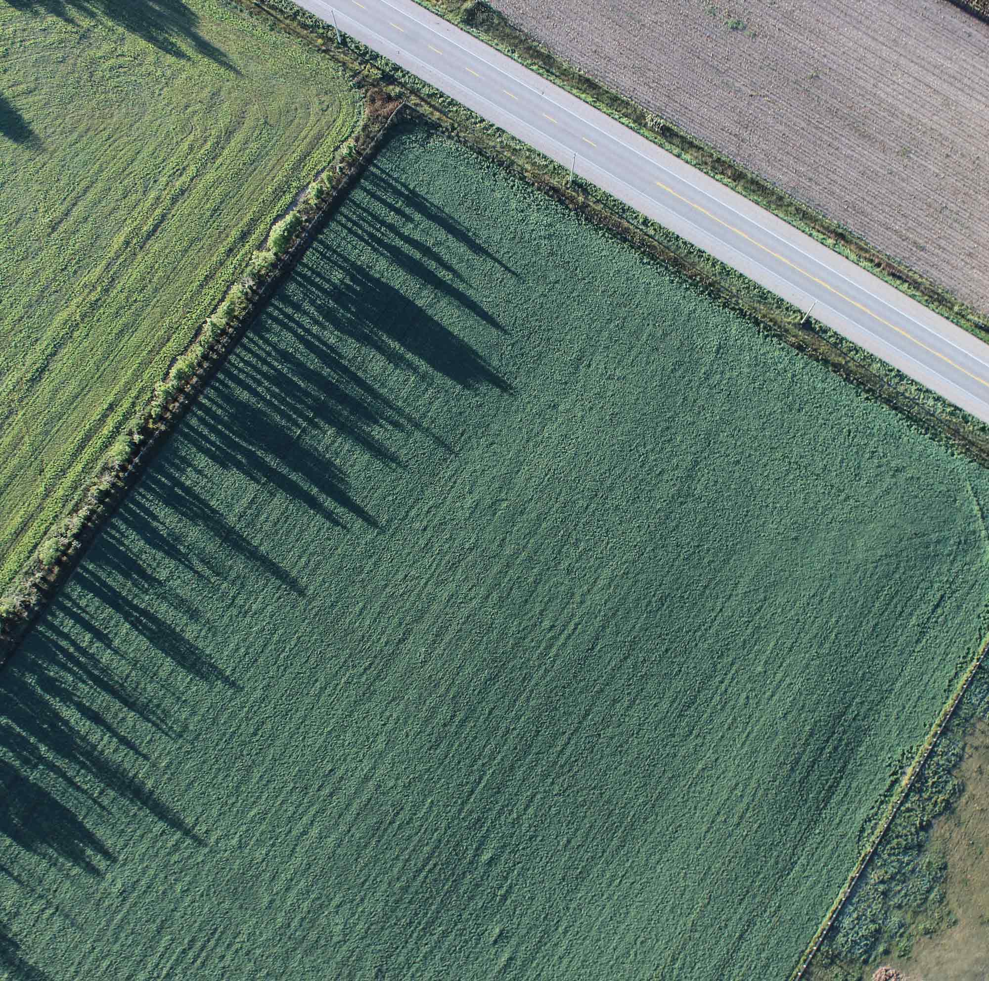 Vista aerea di un campo. Una strada attraversa l'angolo superiore destro.